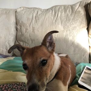 Meet your Posher, Denise